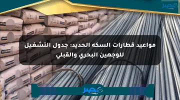 مواعيد قطارات السكة الحديد: جدول التشغيل للوجهين البحري والقبلي